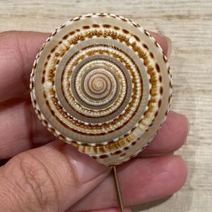 Vintage Miriam Haskell Gold Tone Snail Shell Stickpin